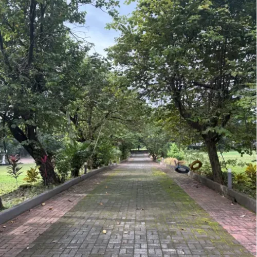 5th morning karjat offsite 2026 1