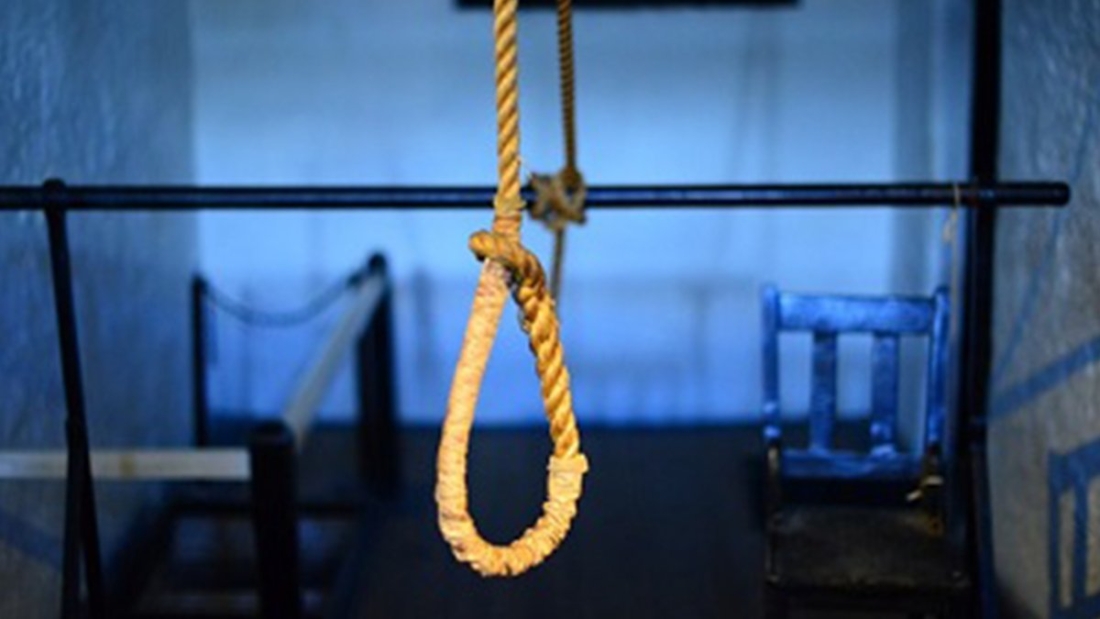 Have A Noose Need A Neck!