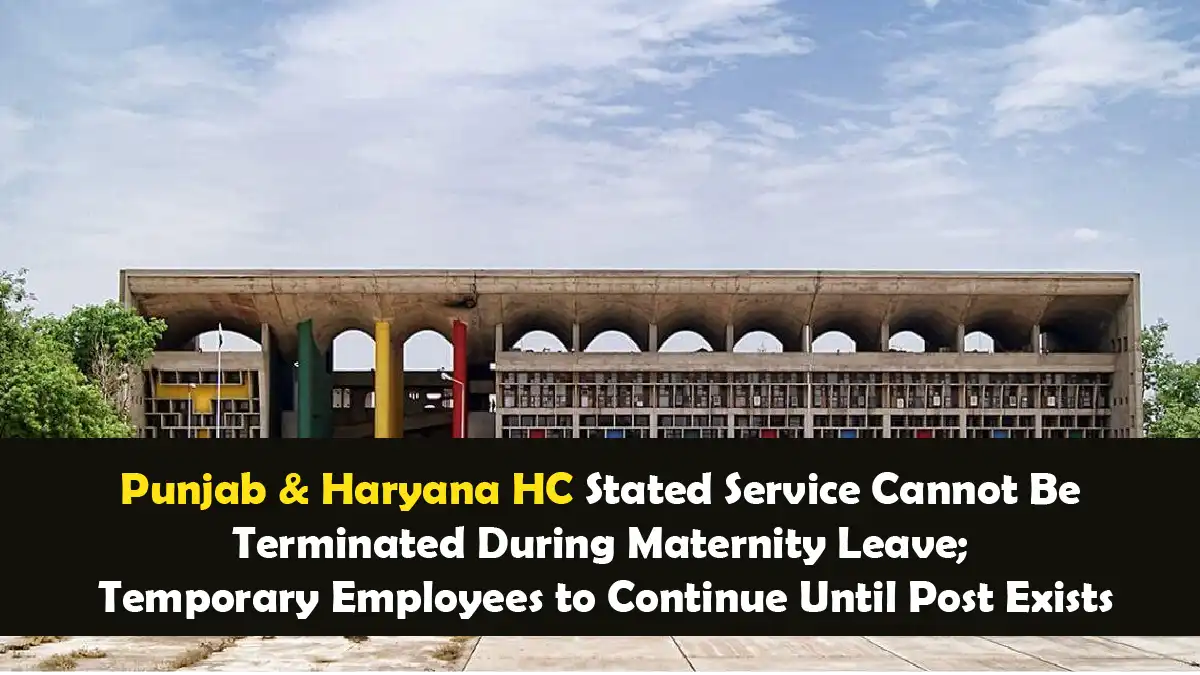 Punjab Haryana HC Stated Service Cannot Be Terminated During Maternity Leave Temporary Employees to Continue Until Post